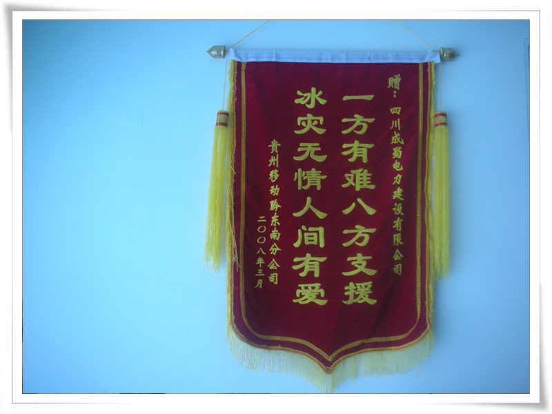 我公司赴黔抗冰保电抢险队获多项声誉