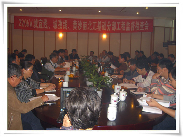 220kV黄白双回线基础工程质量中心监视检查评优