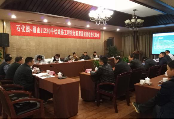 石化园～眉山Ⅱ220千伏线路工程通过投运前的质量监视检查