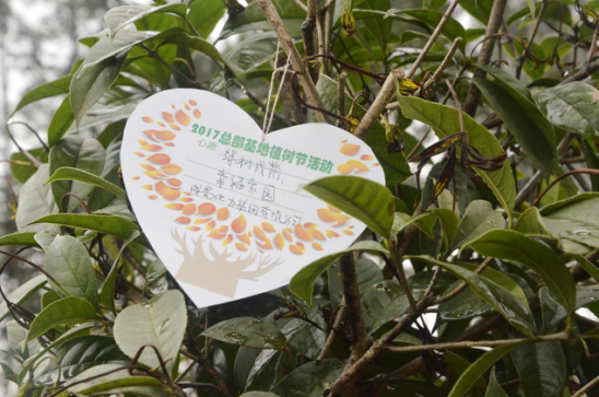 大地回春 植树造林 奇发28电力集团起劲加入园区植树活动