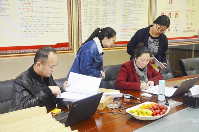 公司顺遂通过“三系统”年度督查审核