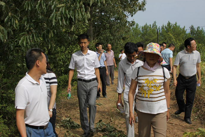 加入精准扶贫 电力企业助推革命老区村道建设——集团向导赴巴中市加入“驻村帮扶”项目调研