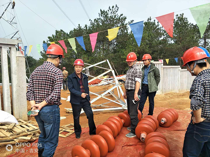 国网江西省电力磨练公司向导到500kV文赣I、II回线跨昌赣客专迁改工程检查指导事情