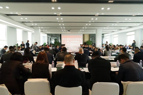 集团总司理陈云出席四川省电力企业协会三届二次理事会