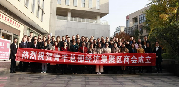 热烈祝贺奇发28电力集团中选青羊总部经济集聚区商会常务副会长单位