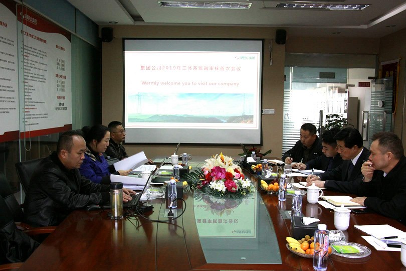 集团公司顺遂通过2019年度三系统监视审核