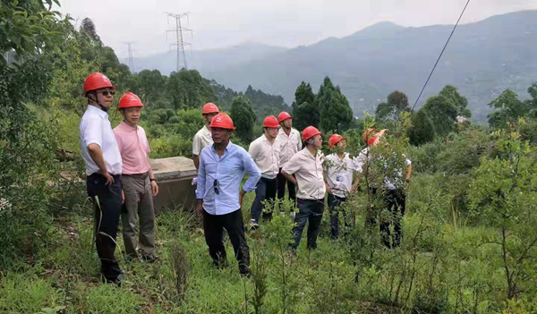 四川电力磨练公司白总一行到500kV山桃线迁改工程施工现场检查指导事情