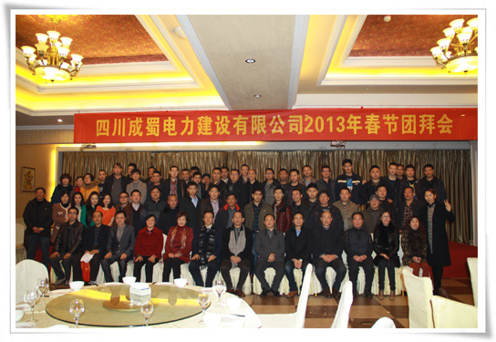 灵蛇起舞迎新纪、马不停蹄营生长-暨奇发28电力新春团拜会