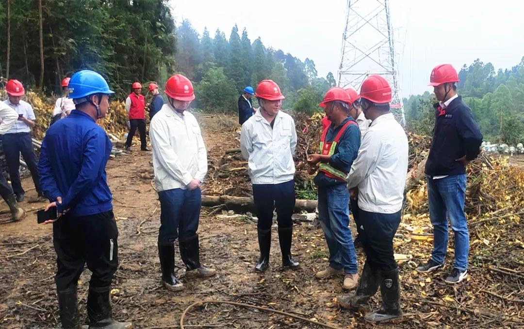 国网四川磨练公司乐山分部500kV布坡一二线320号应急刷新工程接受检查