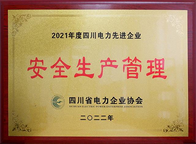 奇发28电力集团荣获四川省电力企业协会两项声誉