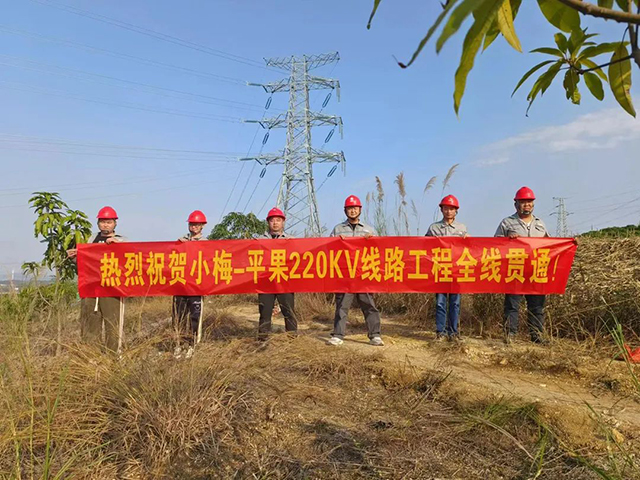 左右江革命老区电力扶贫项目小梅-平果220kV线路工程全线意会
