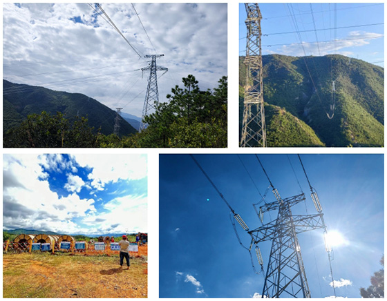 云南省元江县干坝农光互补光伏项目220kV送出线路EPC工程顺遂完工