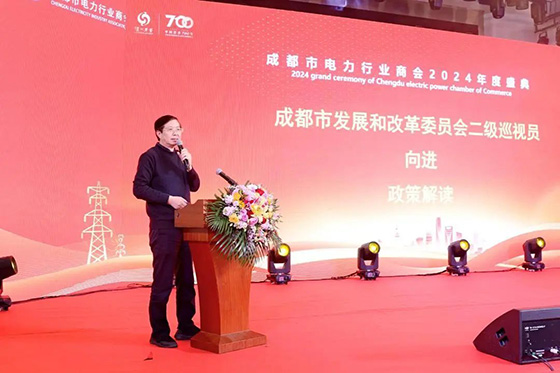 集团荣获成都会电力行业商会两项声誉