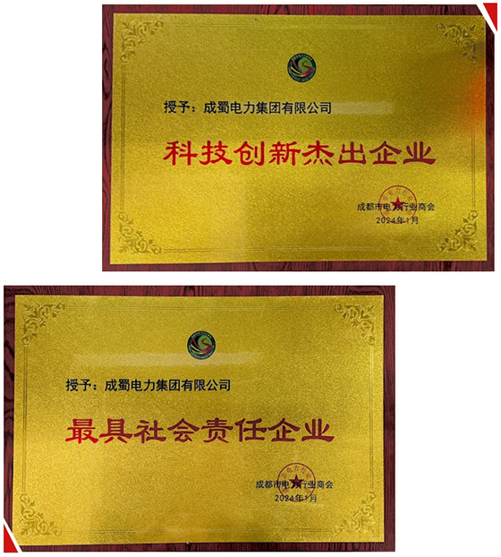 集团荣获成都会电力行业商会两项声誉
