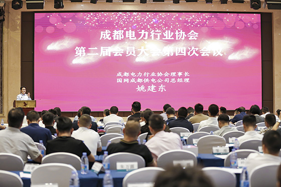 我司员工获评成都电力行业协会先进小我私家