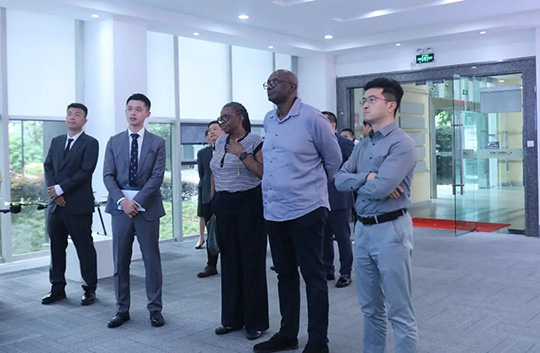 纳米比亚共和国国家电力公司董事会主席埃斯特·卡利一行莅临奇发28电力