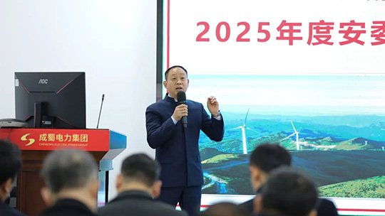 集团召开2025年度安委会首次（扩大）聚会